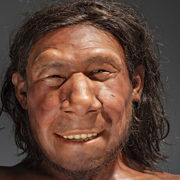 Reconstructie van het gezicht van Krijn, de eerste Neanderthaler van Nederland