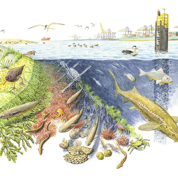 Illustratie van dieren in de haven