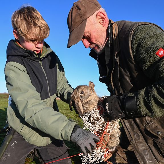 Paul Moerman vangt met kleinzoon Raoul Moerman een konijn in de Europoort (Foto: Ries van Wendel de Joode)