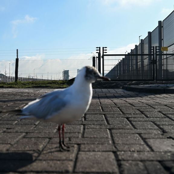 Vossenhek Markweg