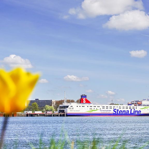 Stenaline bij de Landtong