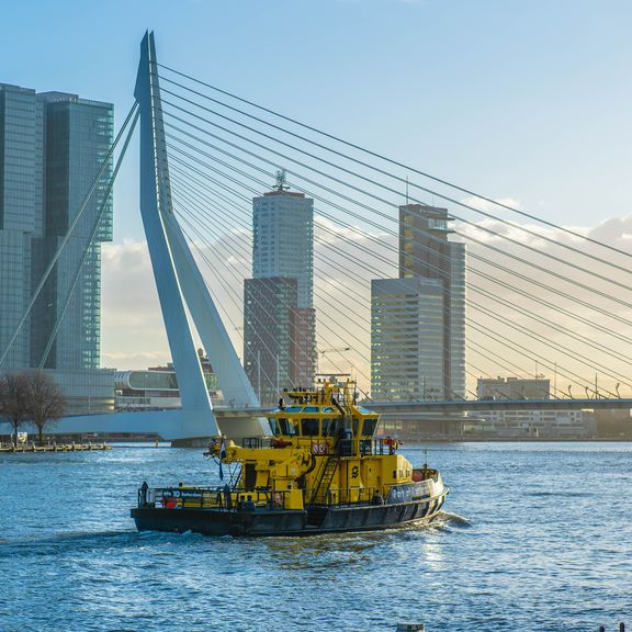 RPA Erasmusbrug