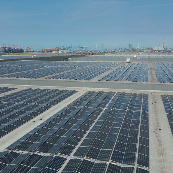 Het Sunrock zonnedak op Distripark Maasvlakte West