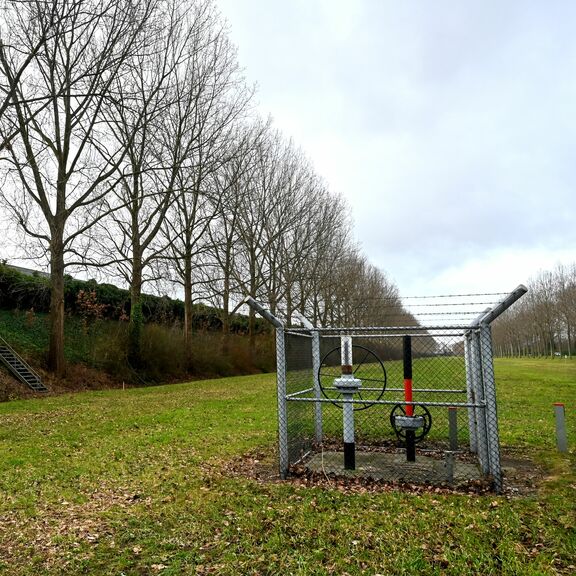 Bomen aan de Droespolderweg