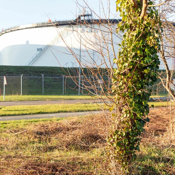 Groene tankdijken inrichten