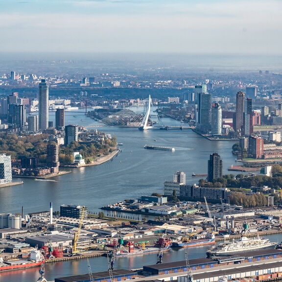 Syline Rotterdam